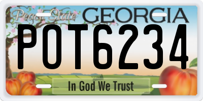 GA license plate POT6234