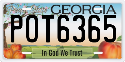 GA license plate POT6365