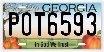 GA license plate POT6593
