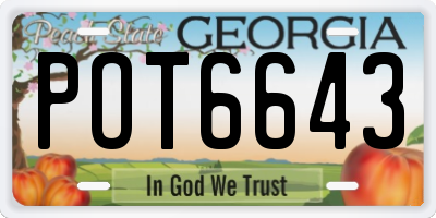 GA license plate POT6643