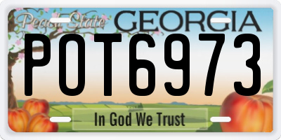 GA license plate POT6973