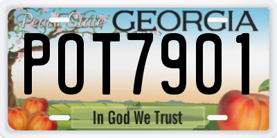 GA license plate POT7901