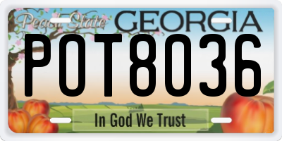 GA license plate POT8036