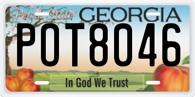 GA license plate POT8046