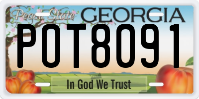 GA license plate POT8091
