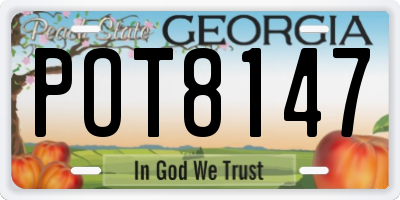 GA license plate POT8147