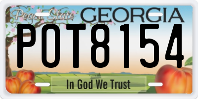 GA license plate POT8154