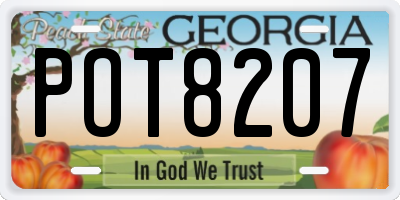 GA license plate POT8207