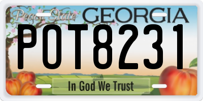 GA license plate POT8231