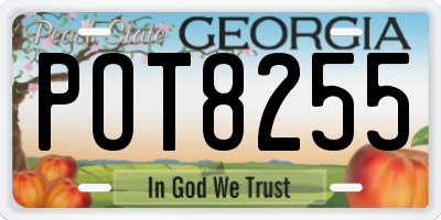 GA license plate POT8255