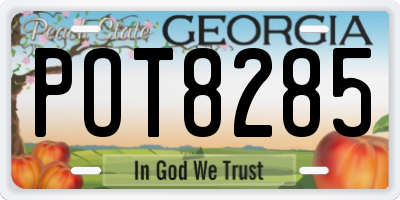 GA license plate POT8285