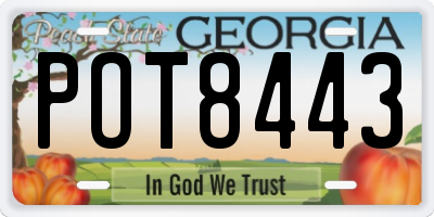 GA license plate POT8443