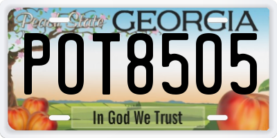 GA license plate POT8505