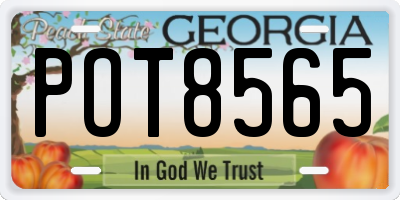 GA license plate POT8565