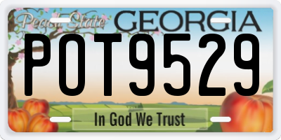 GA license plate POT9529