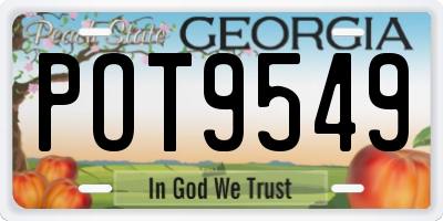 GA license plate POT9549