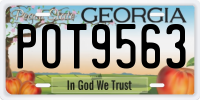 GA license plate POT9563