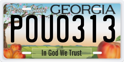 GA license plate POU0313
