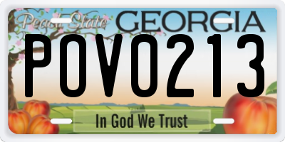 GA license plate POV0213