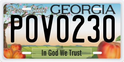 GA license plate POV0230