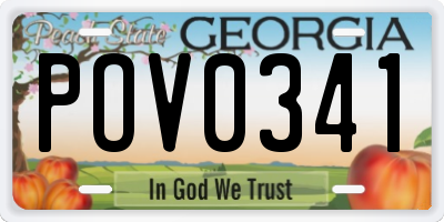 GA license plate POV0341