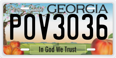 GA license plate POV3036