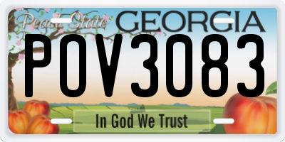 GA license plate POV3083