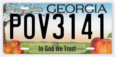 GA license plate POV3141