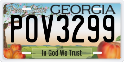 GA license plate POV3299