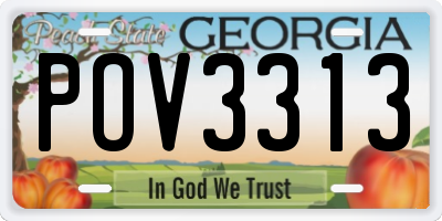 GA license plate POV3313