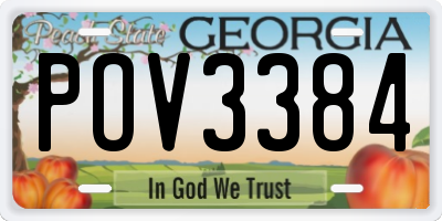 GA license plate POV3384