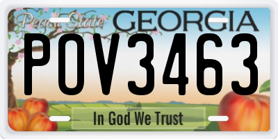 GA license plate POV3463
