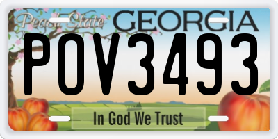 GA license plate POV3493