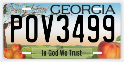 GA license plate POV3499