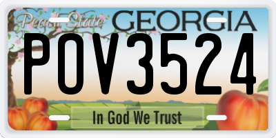 GA license plate POV3524