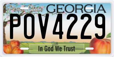 GA license plate POV4229