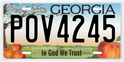 GA license plate POV4245