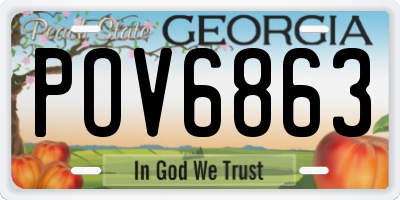 GA license plate POV6863