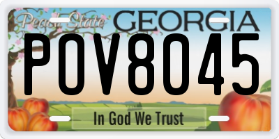 GA license plate POV8045