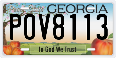 GA license plate POV8113