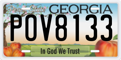 GA license plate POV8133