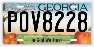 GA license plate POV8228