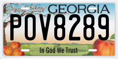 GA license plate POV8289