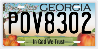 GA license plate POV8302