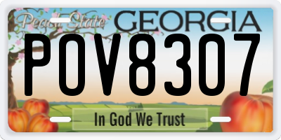GA license plate POV8307