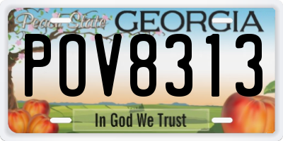 GA license plate POV8313