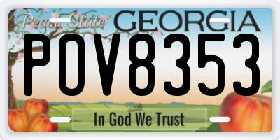 GA license plate POV8353