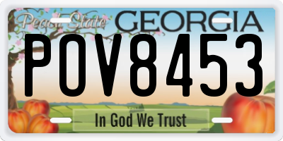 GA license plate POV8453