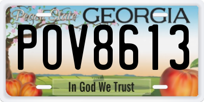 GA license plate POV8613
