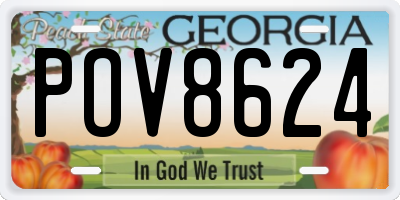 GA license plate POV8624